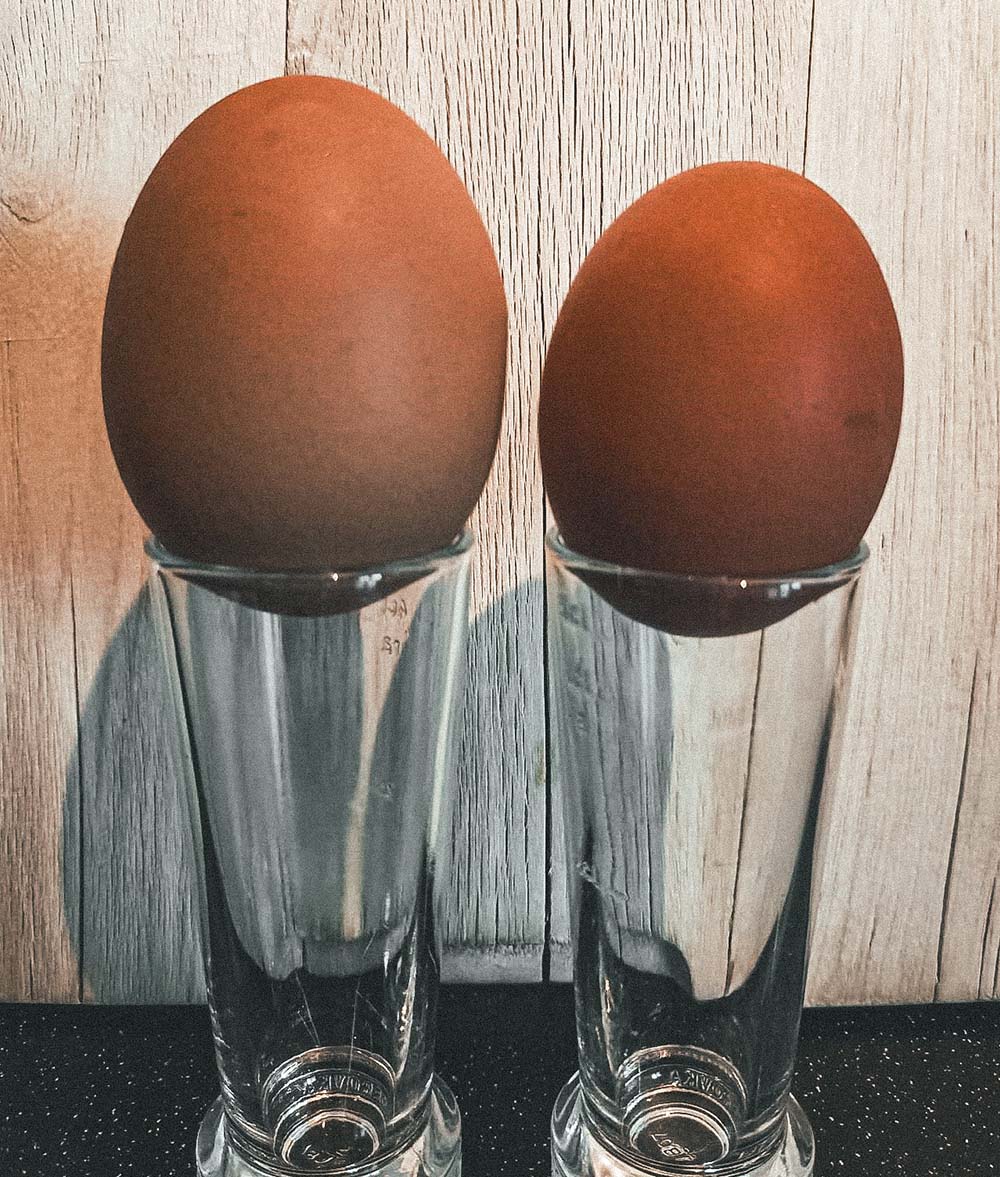 Porovnání dvoužloutkového a jednožloutkové vejce