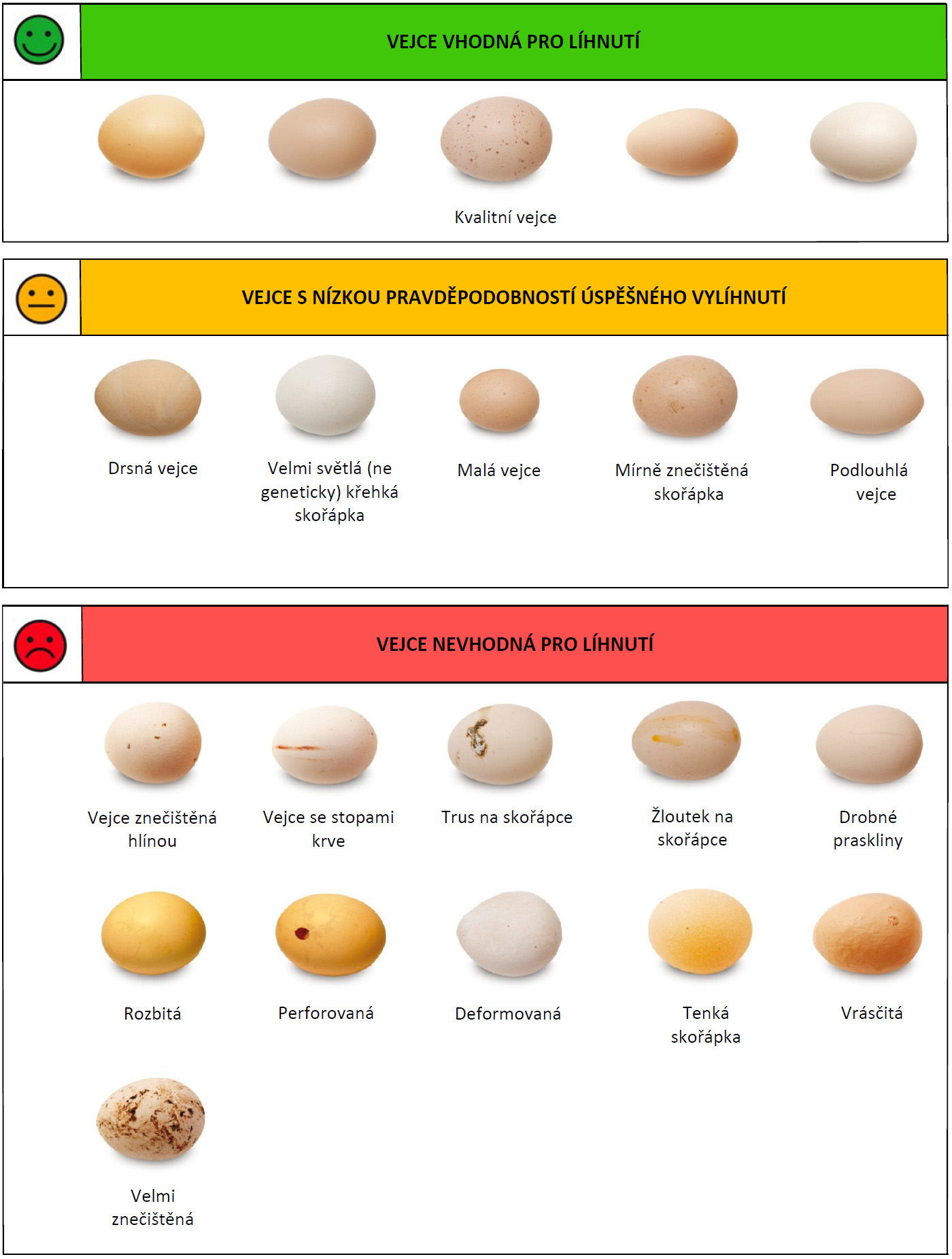Porovnání správných a nesprávných vajec k líhnutí