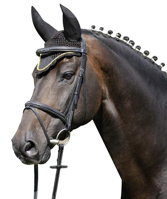 Čabraka HKM na uši koní se stříbrným lemem černá velikost 1