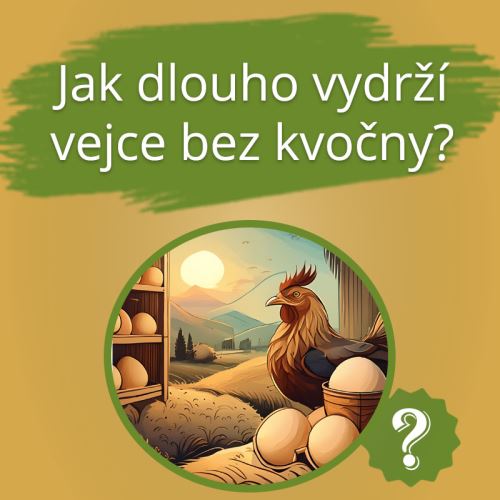 Jak dlouho vydrží vejce bez kvočny?