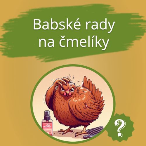 Babské rady na čmelíky