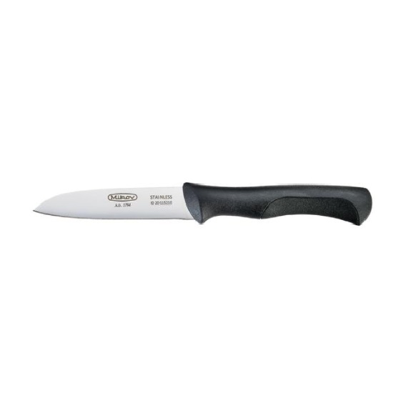 Nůž na zeleninu 10 cm rovný plastová rukojeť