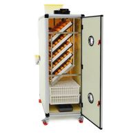 Automatická digitální líheň na kuřata, křepelky, drůbež CIMUKA HB500C líheň na 350 vajec Automatická digitální líheň na kuřata, křepelky, drůbež CIMUKA HB500C líheň na 350 vajec
