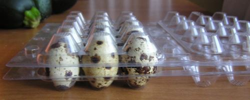 Obal plastový, blistr na křepelčí vajíčka komplet - spodní a vrchní díl na 30 vajíček