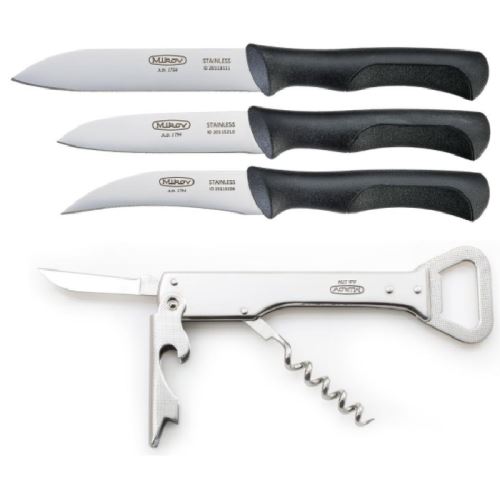 Sada 4 kuchyňské nože EVERYDAY pro každodenní použití v kuchyni