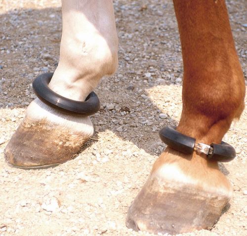 Ochranný kroužek na nohy koní gumový