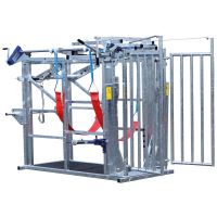 Fixační a paznehtářská klec pro skot PASDELOU OPTIPLUS, základní výbava Fixační a paznehtářská klec pro skot PASDELOU OPTIPLUS, základní výbava