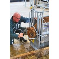 Mobilní fixační a odrohovací klec pro telata PASDELOU včetně fixačního čela (3) (3)