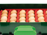 Sada držáků vajec pro líhně Covina Super 24, EGG TECH ET 24, Real 24