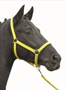 Stájová ohlávka pro koně HKM Stars Softice žlutá, velikost 1/pony