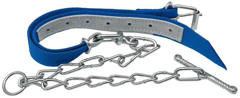 Obojek pro telata modrý trevira 850 x 40 mm s řetězovým vazákem 1200 mm