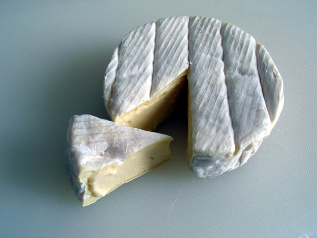 Camembertská kultura Sigma 75 pro sýry s bílou plísní Penicillium CANDIDUM na 500 l mléka