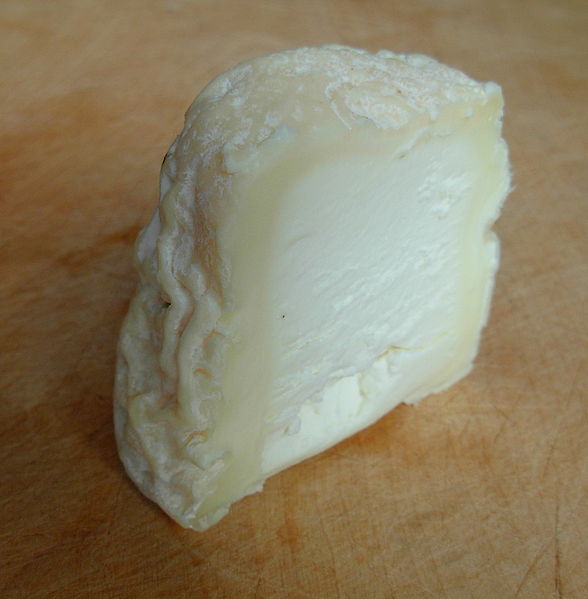 IOTA CL2 na kozí sýry bílé na 200 l mléka směs kultur a bílá plíseň Geotrichum Candidum