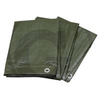 Zakrývací nepromokavá plachta s oky PE 6 x 8 m na seno, slámu, dřevo 110 g/m2 Zakrývací nepromokavá plachta s oky PE 6 x 8 m na seno, slámu, dřevo 110 g/m2